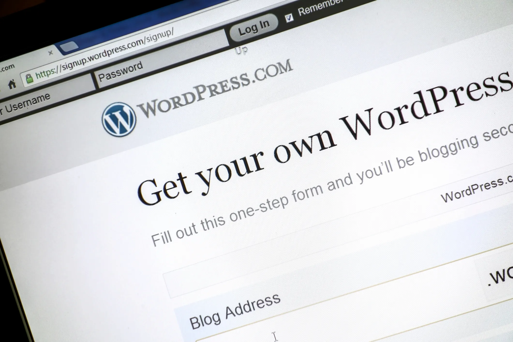 WordPress Main Page